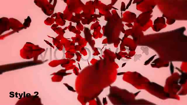 Rose Petals Fall into Heart Shape Alpha Included Videohive 1600365 Motion Graphics Image 5