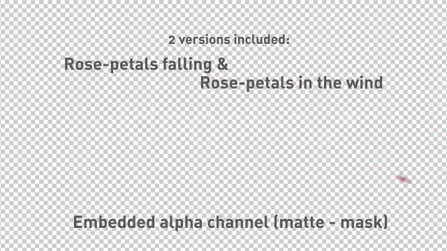 Rose Petals falling Videohive 537714 Motion Graphics Image 10
