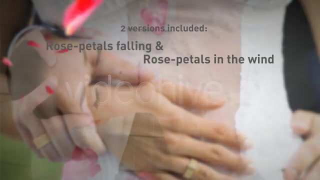Rose Petals falling Videohive 537714 Motion Graphics Image 3