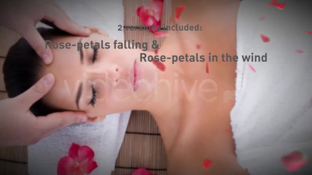 Rose Petals falling Videohive 537714 Motion Graphics Image 4