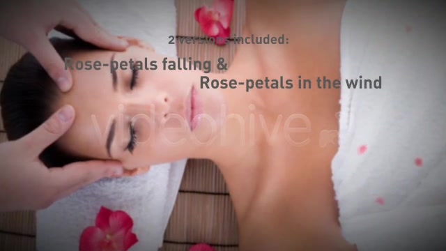 Rose Petals falling Videohive 537714 Motion Graphics Image 5