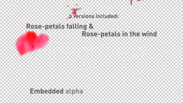 Rose Petals falling Videohive 537714 Motion Graphics Image 6