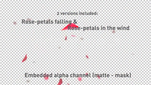 Rose Petals falling Videohive 537714 Motion Graphics Image 7
