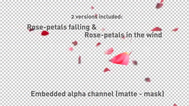 Rose Petals falling Videohive 537714 Motion Graphics Image 8