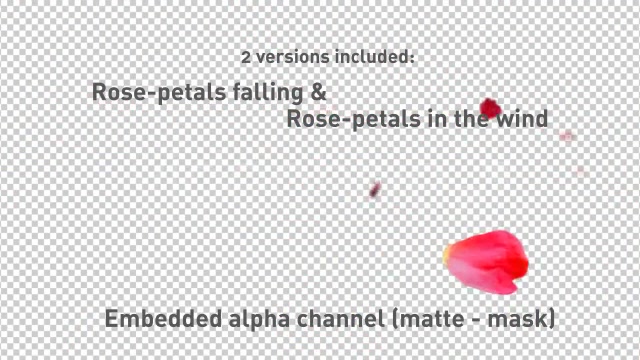 Rose Petals falling Videohive 537714 Motion Graphics Image 9