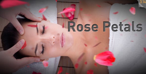 Rose Petals falling - Videohive Download 537714