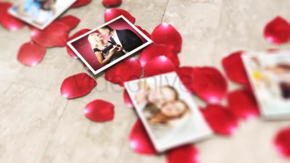 Rose Petals Heart Photo Gallery - Download Videohive 5315746