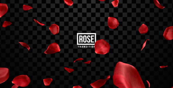 Rose Transitions - Download Videohive 19427108