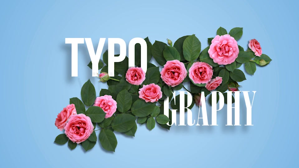 Rose Typography Pack Videohive 16964280 After Effects Image 2