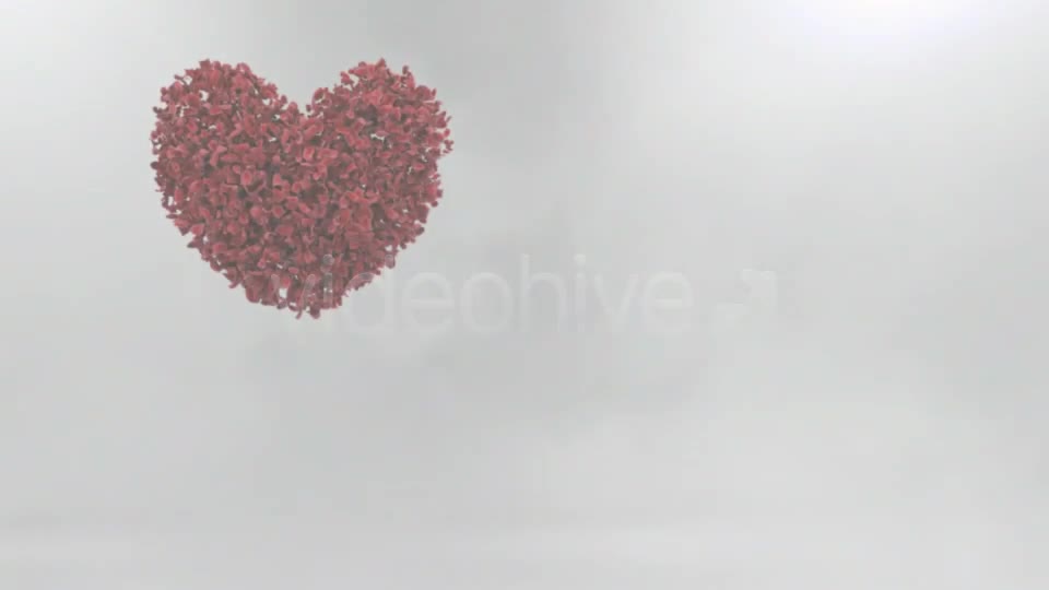 Roses Heart - Download Videohive 1390527