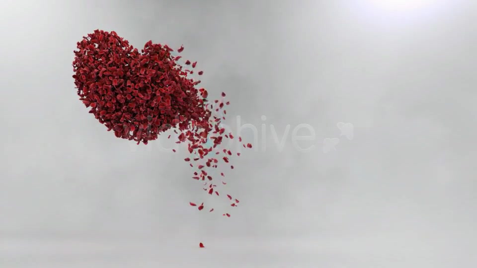 Roses Heart - Download Videohive 1390527