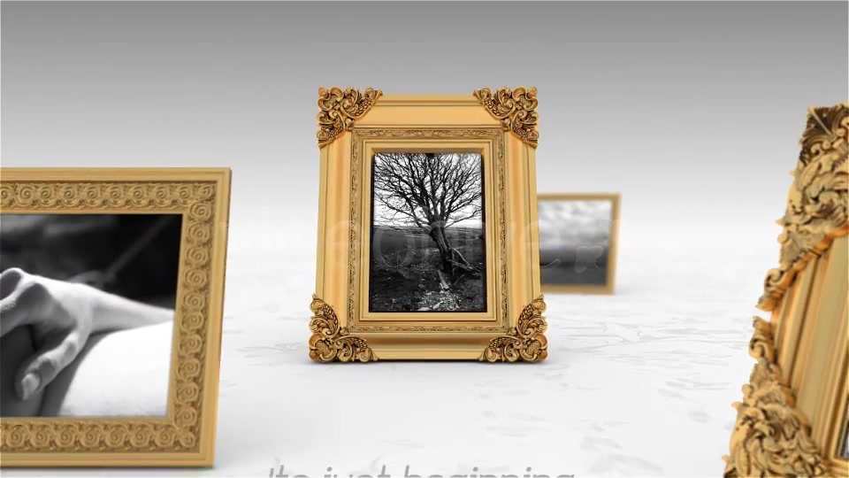 Royal Frames Photo Gallery - Download Videohive 3716205