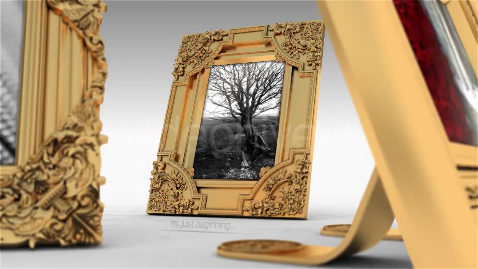 Royal Frames Photo Gallery - Download Videohive 3716205