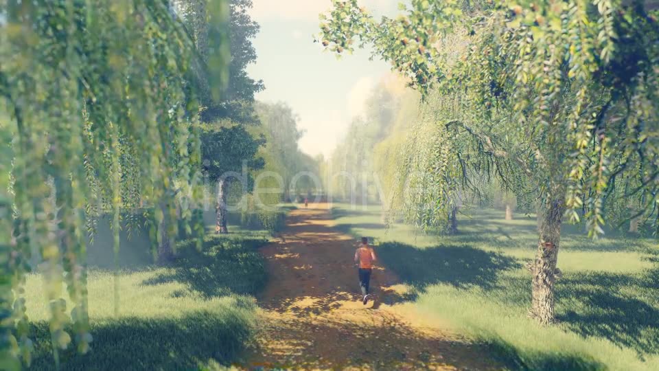 Running In Forest - Download Videohive 19820789