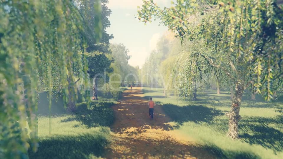 Running In Forest - Download Videohive 19820789