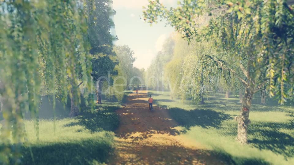 Running In Forest - Download Videohive 19820789