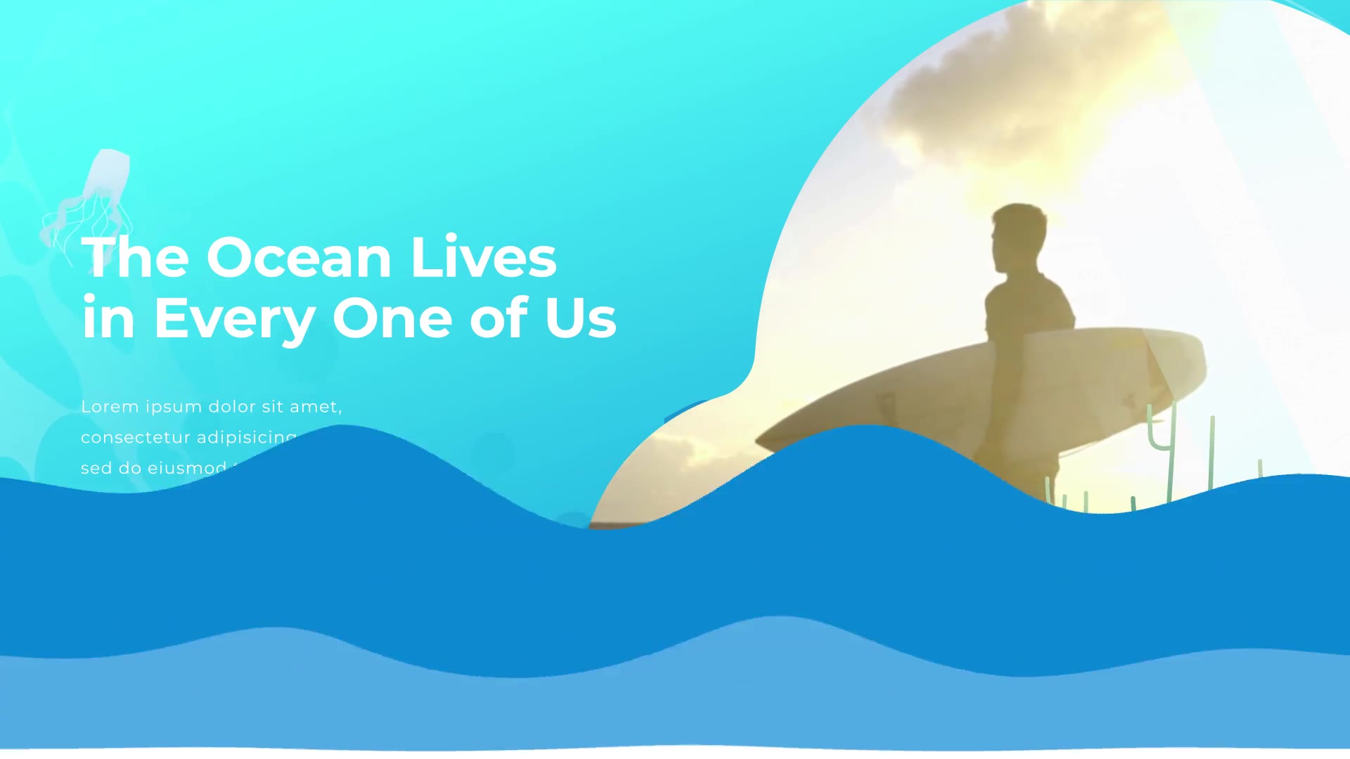 Save The Ocean Slideshow | After Effects Videohive 35114476 After Effects Image 12