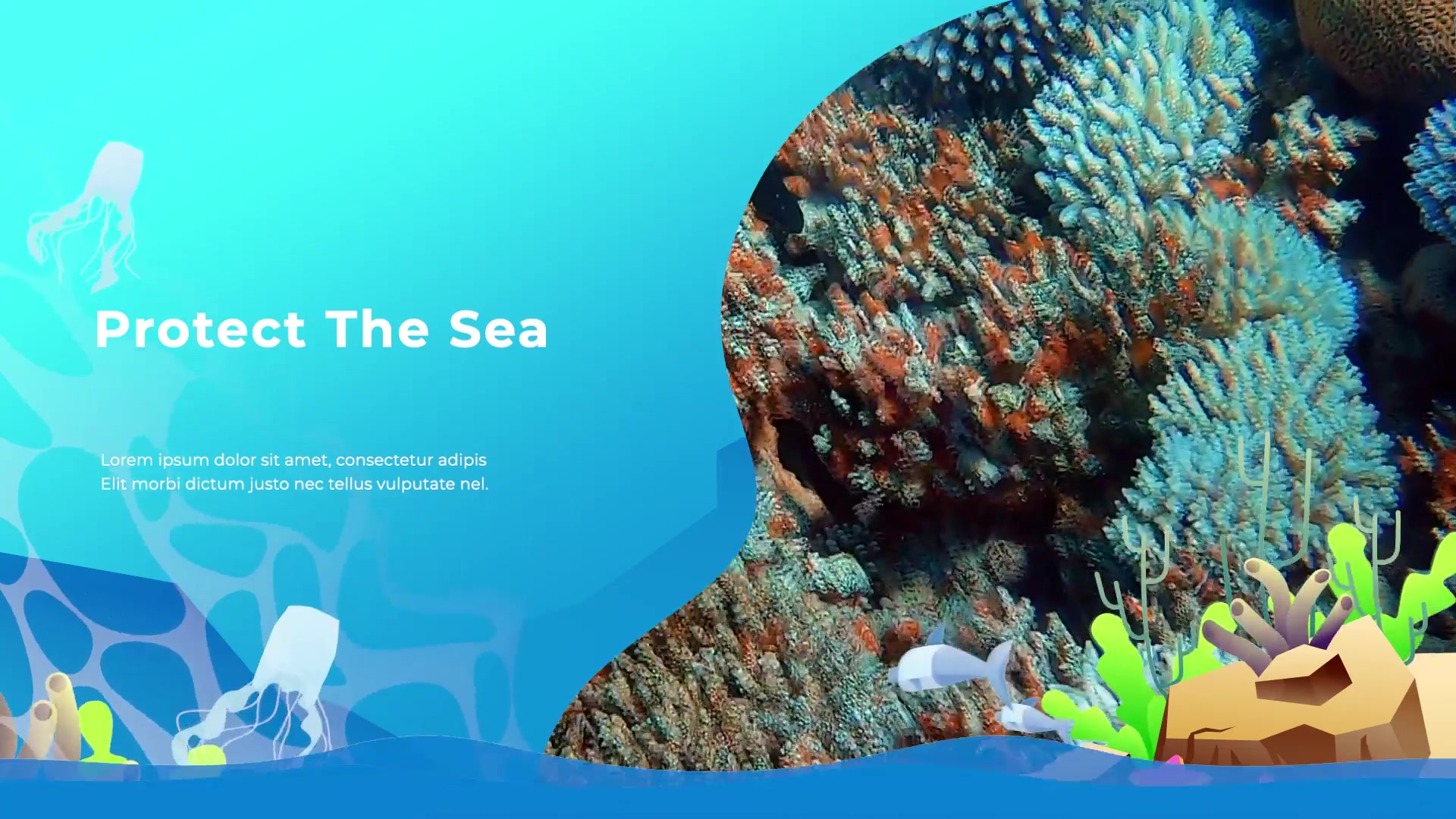 Save The Ocean Slideshow | Apple Motion & FCPX Videohive 35115559 Apple Motion Image 7