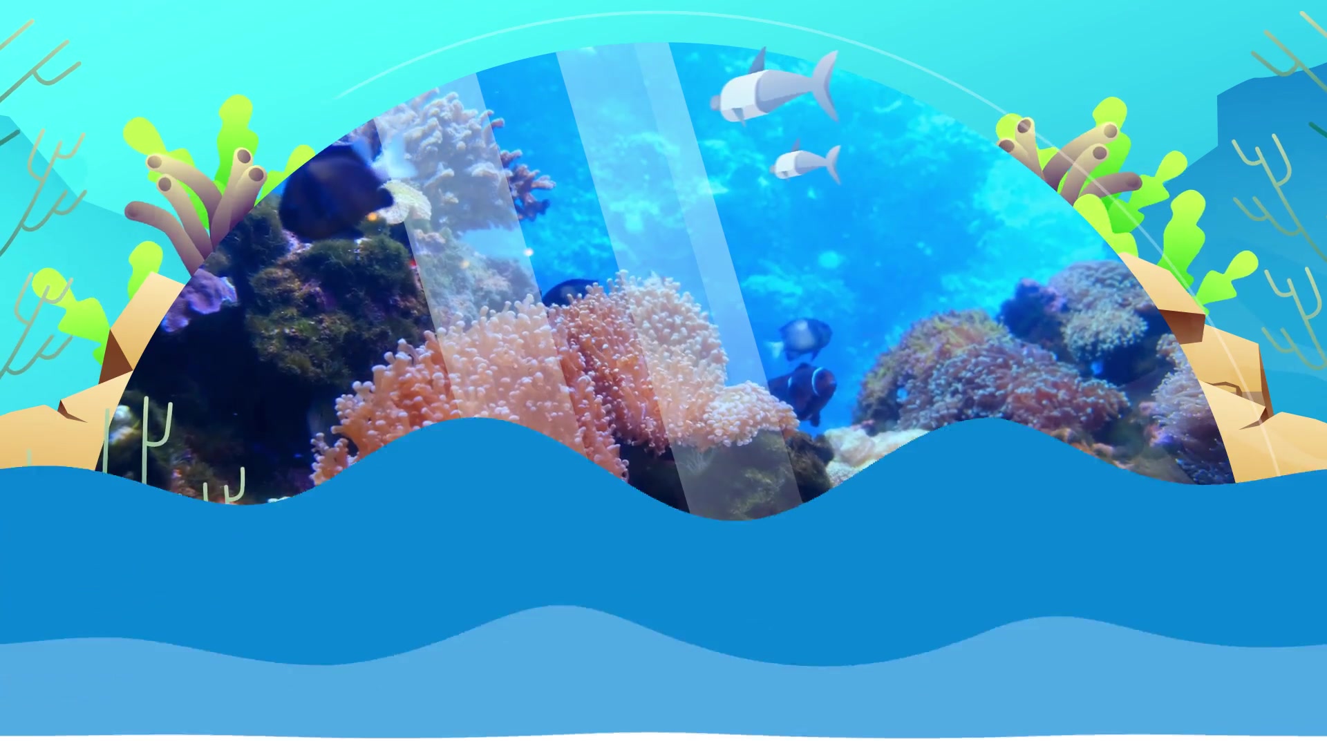 Save The Ocean Slideshow | Premiere Pro MOGRT Videohive 35085667 Premiere Pro Image 9