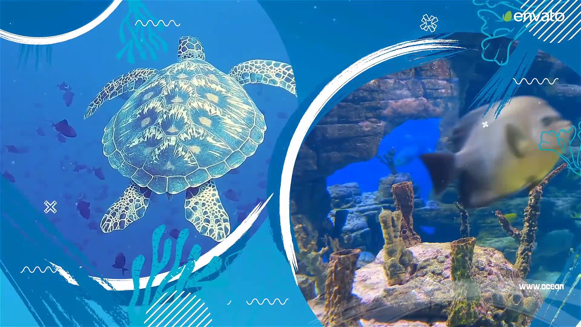 Save the World Ocean Videohive 33749342 After Effects Image 8