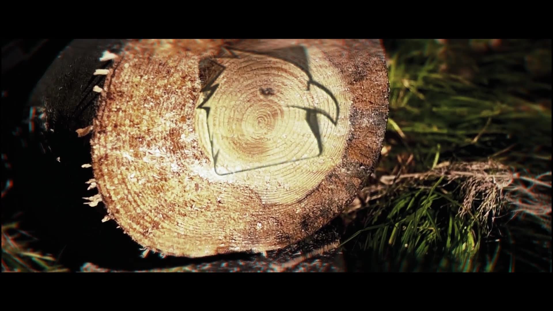 Saw Cut Tree Logo - Download Videohive 23342078