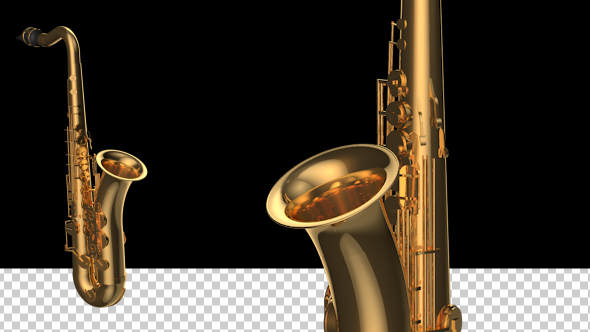 Saxophone - Download Videohive 20973510