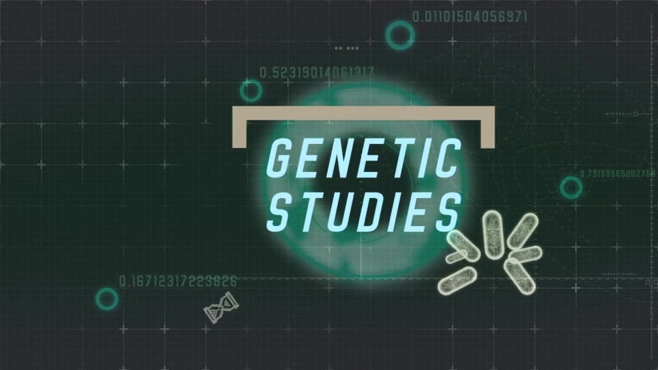 Scientific Medical Package Videohive 17119616 After Effects Image 9