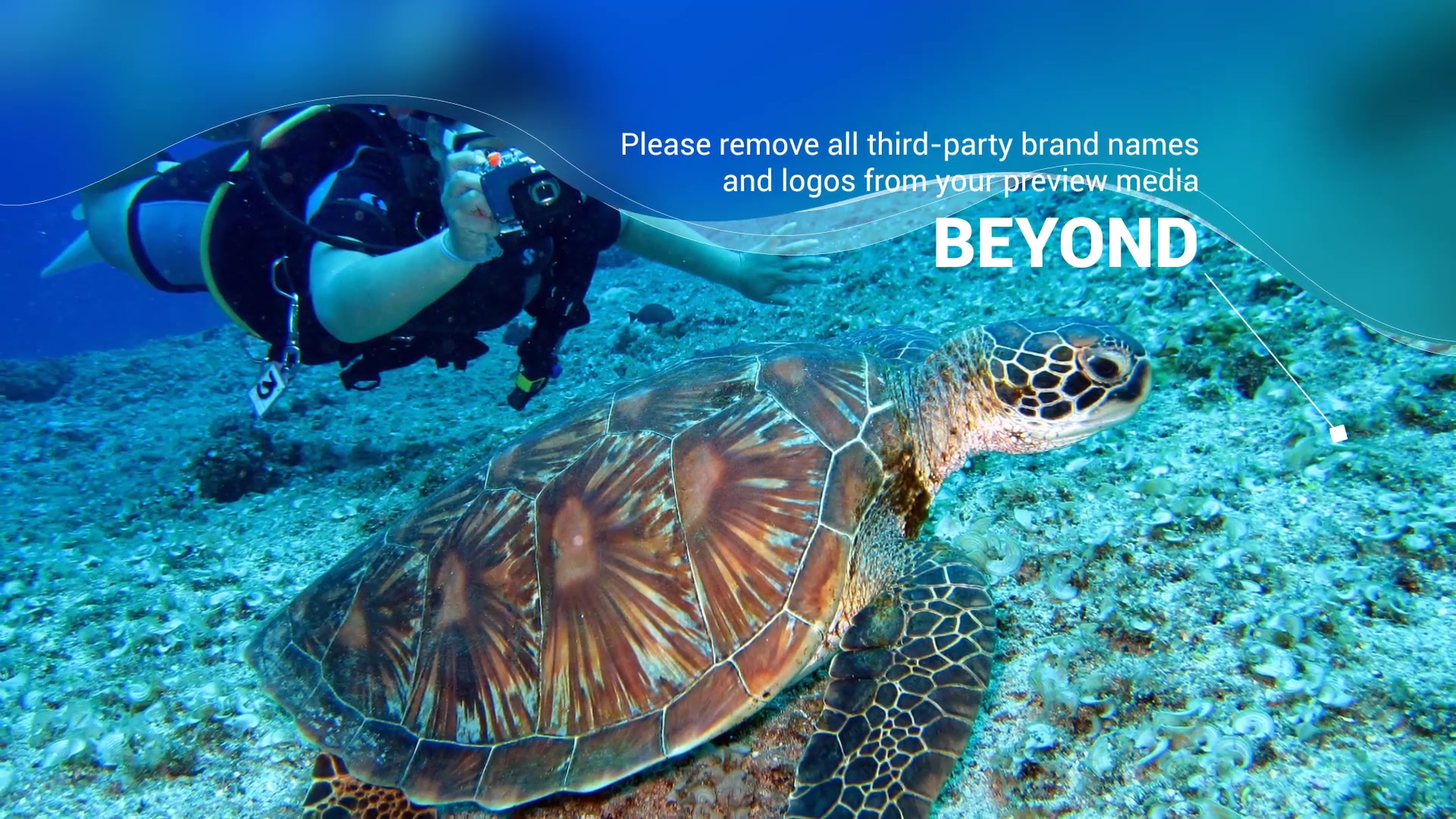 Scuba Diving Promotion Slideshow Videohive 25754741 After Effects Image 10