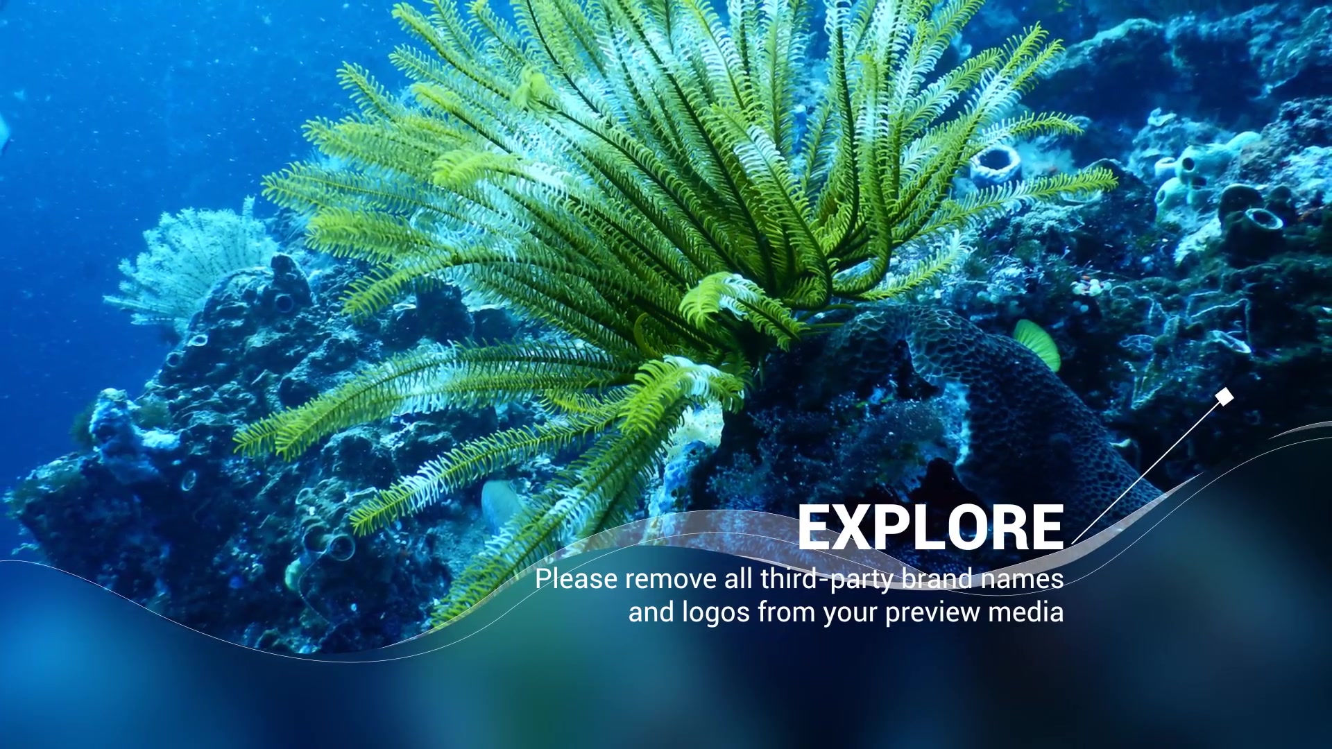 Scuba Diving Promotion Slideshow Videohive 25754741 After Effects Image 3