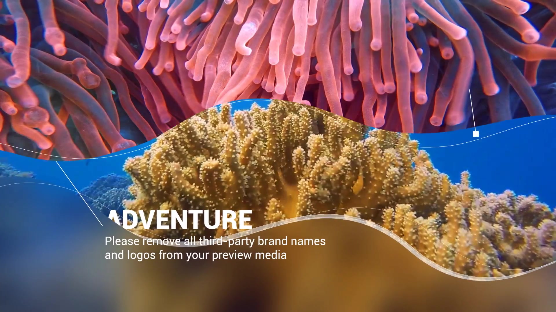 Scuba Diving Promotion Slideshow Videohive 25754741 After Effects Image 4
