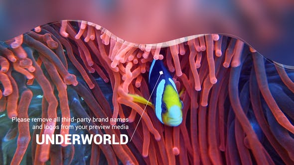 Scuba Diving Promotion Slideshow - Download Videohive 25754741