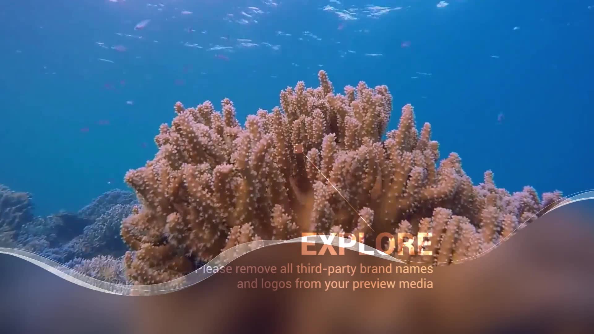 Scuba Diving Video Promotion Slideshow Videohive 25863238 Premiere Pro Image 2
