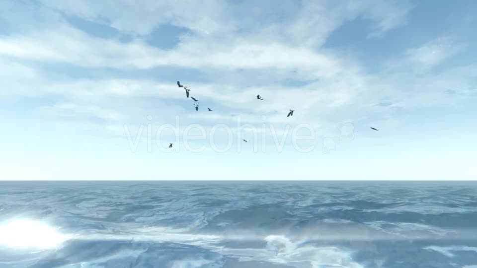 Sea and Seagulls - Download Videohive 19803162