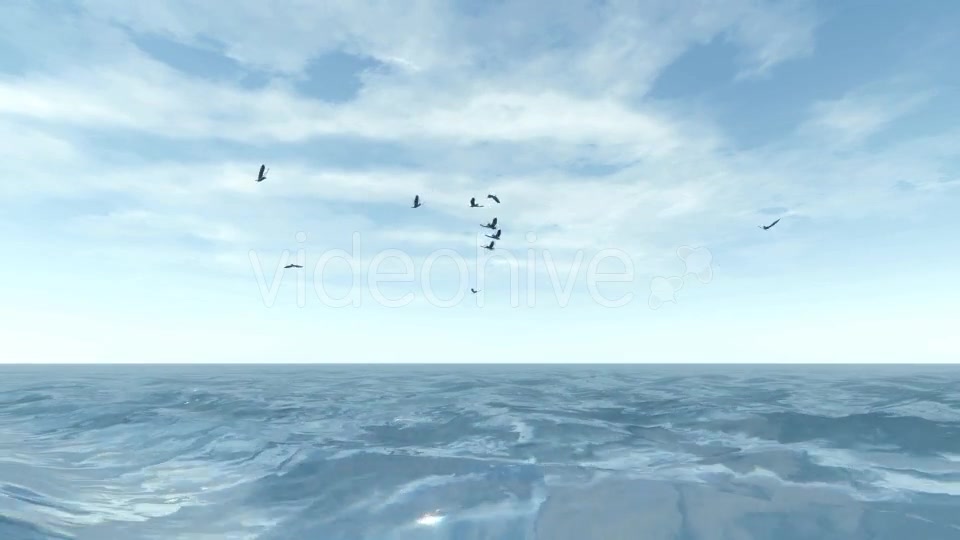 Sea and Seagulls - Download Videohive 19803162