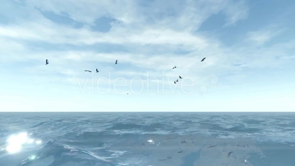 Sea and Seagulls - Download Videohive 19803162