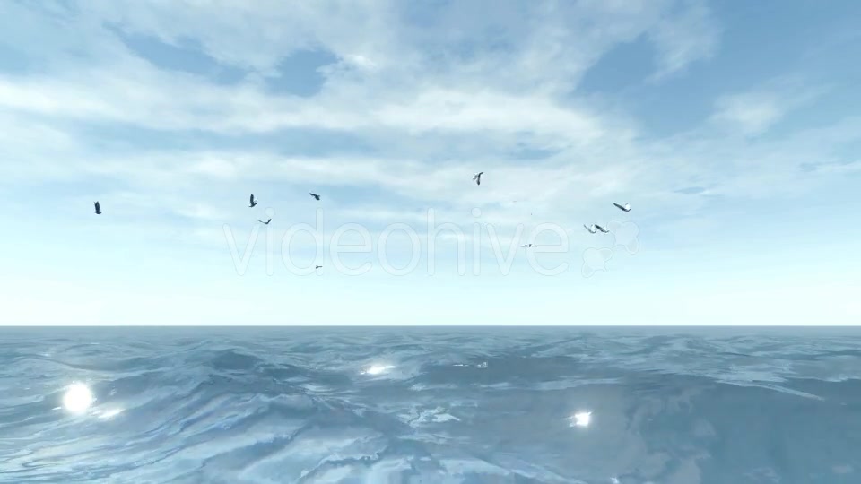 Sea and Seagulls - Download Videohive 19803162