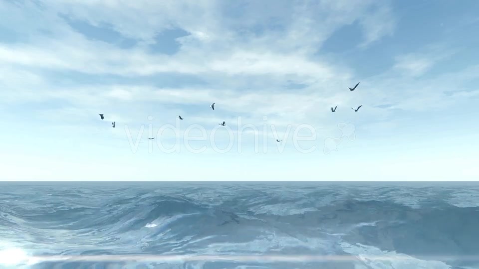Sea and Seagulls - Download Videohive 19803162