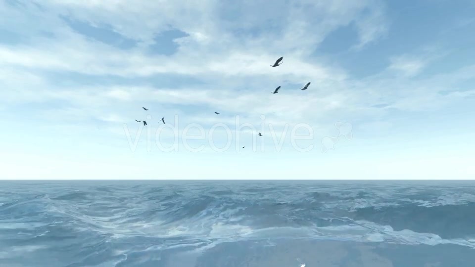 Sea and Seagulls - Download Videohive 19803162