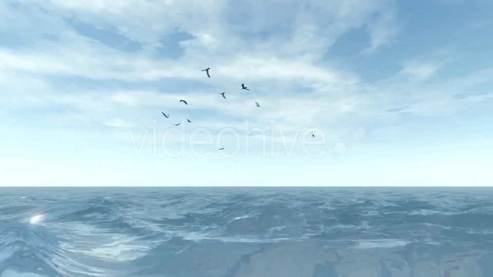 Sea and Seagulls - Download Videohive 19803162