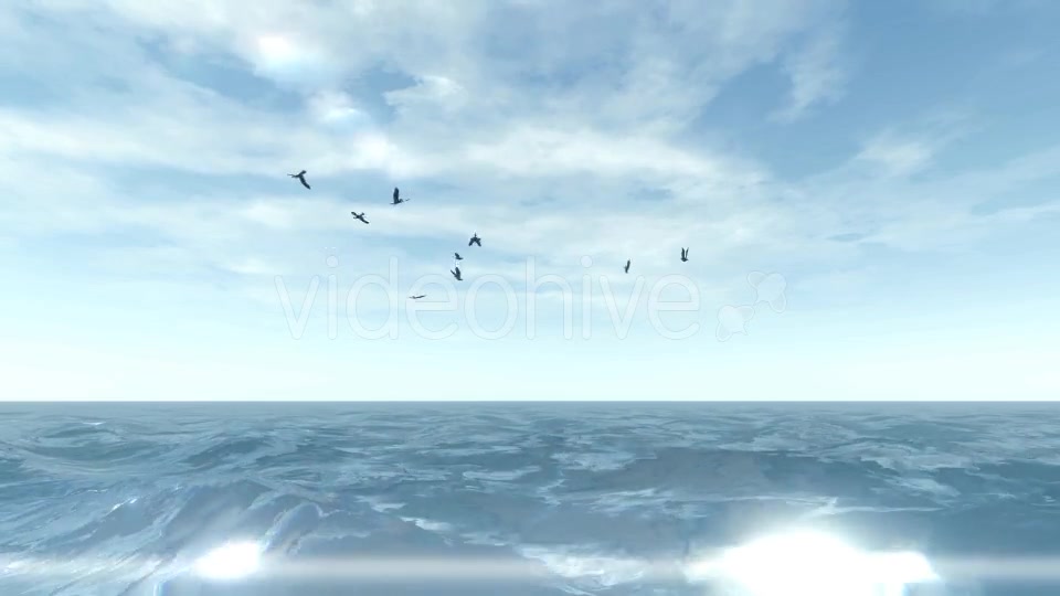 Sea and Seagulls - Download Videohive 19803162