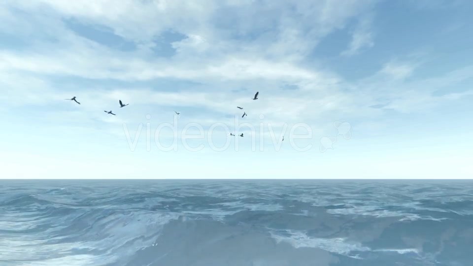 Sea and Seagulls - Download Videohive 19803162