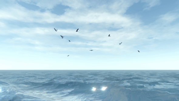 Sea and Seagulls - Download Videohive 19803162