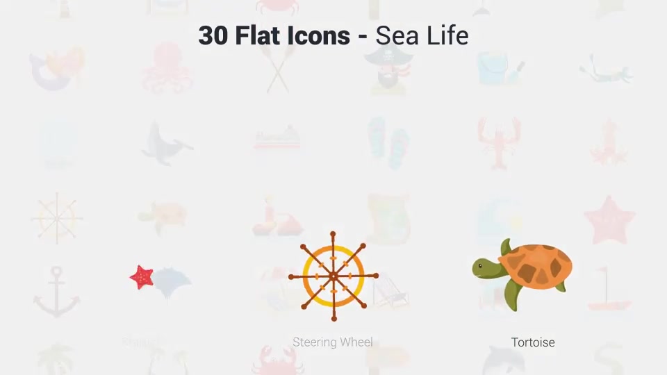 Sea Life Icons Videohive 36225565 After Effects Image 12