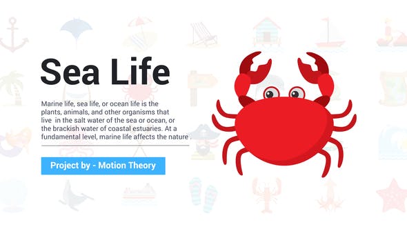 Sea Life Icons - Download 36225565 Videohive