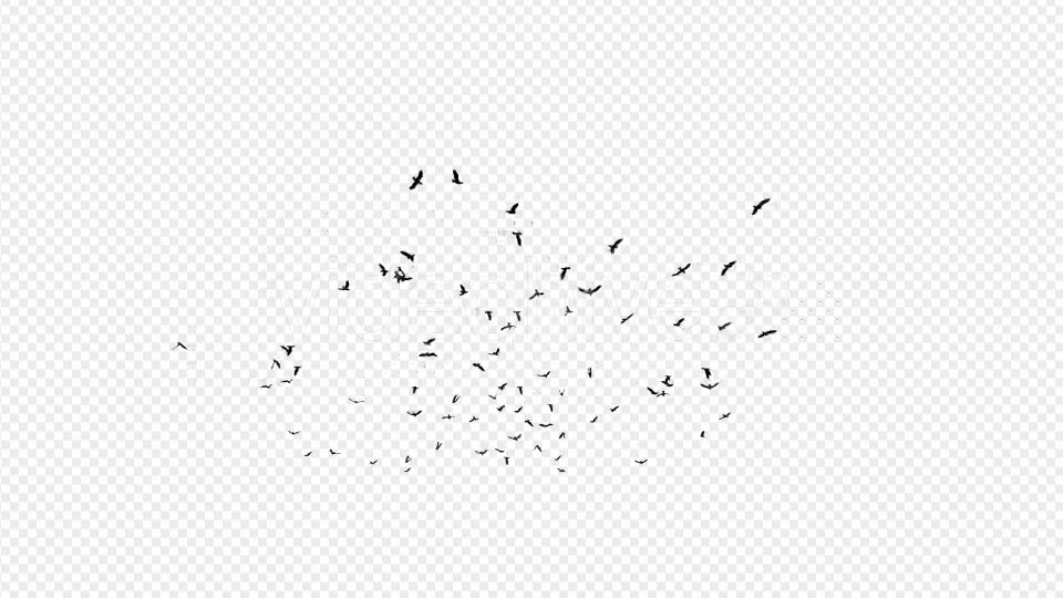 Seagulls Silhouette 2 - Download Videohive 20021873