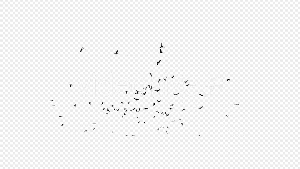 Seagulls Silhouette 2 - Download Videohive 20021873