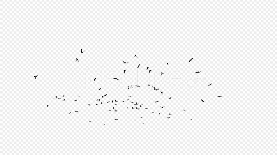 Seagulls Silhouette 2 - Download Videohive 20021873