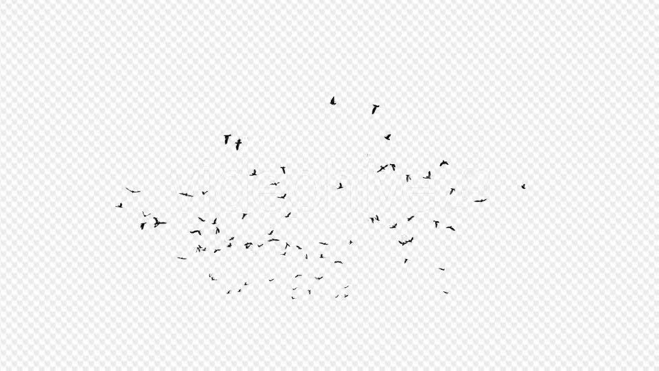 Seagulls Silhouette 2 - Download Videohive 20021873