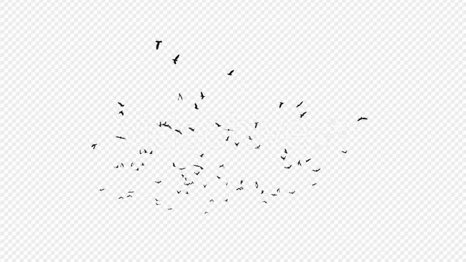 Seagulls Silhouette 2 - Download Videohive 20021873