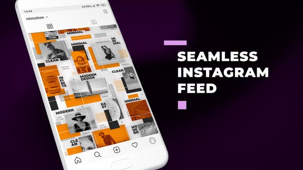 Seamless Instagram Feed - Videohive 30251473 Download